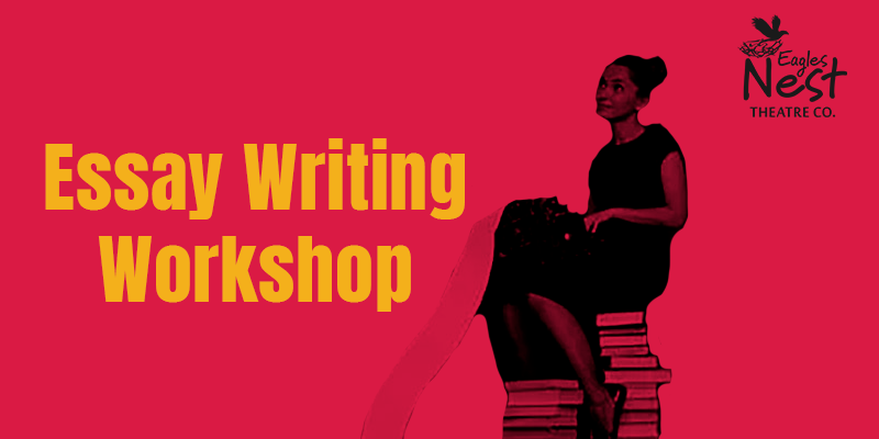 Essay Writing Workshop